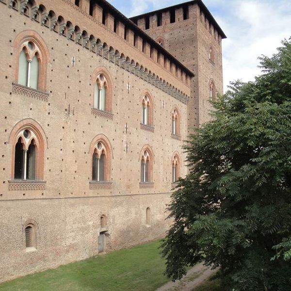 Pavia