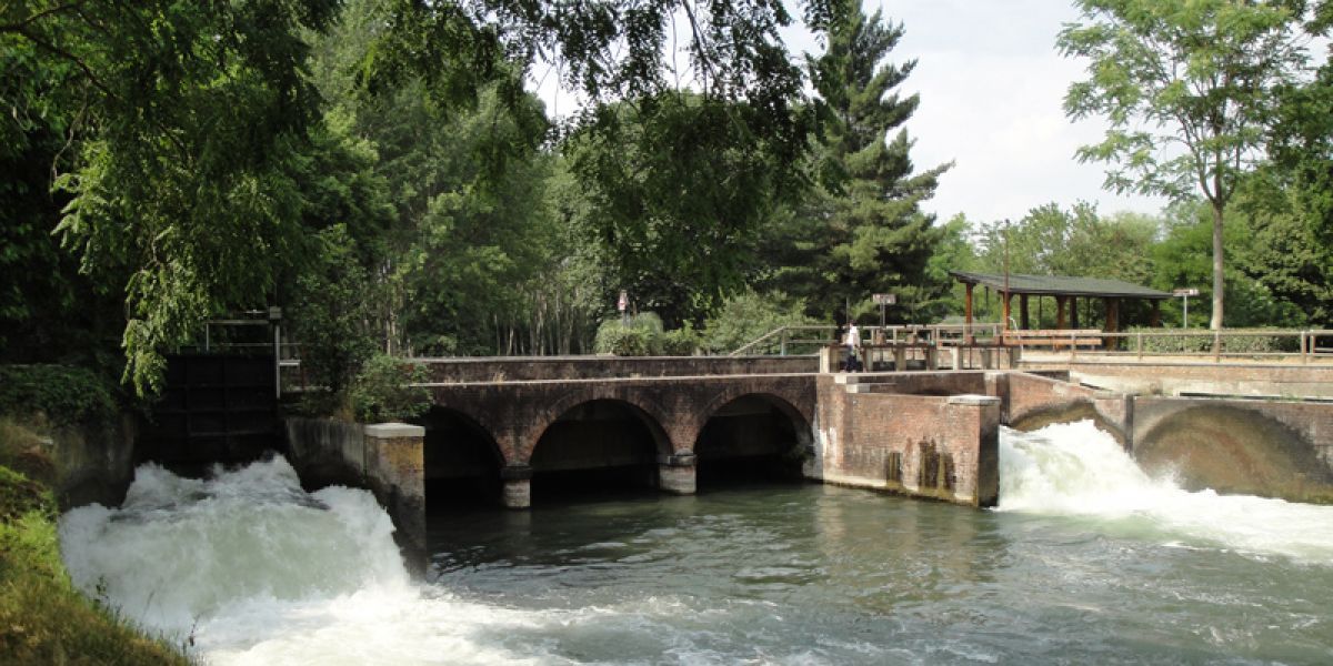 la natura nei dintorni